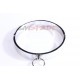 Stainless steel restraint collar with chain nipple clamps