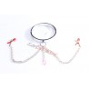 Stainless steel restraint collar with chain nipple clamps