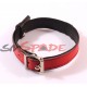 Red leather collar