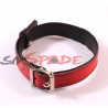 Red leather collar